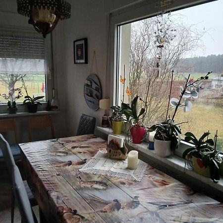 Maja Villa Guhrow Kültér fotó